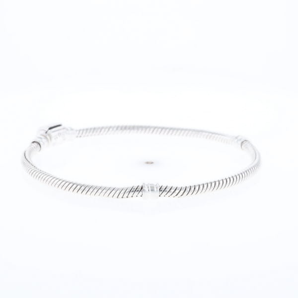 Pandora Moments Charm Bracelet