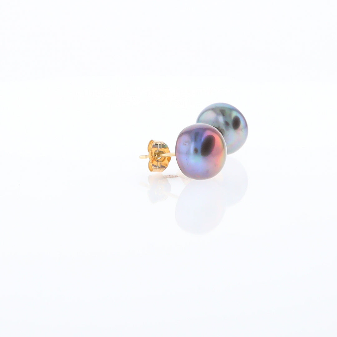 Tahitian Grey Pearl Studs