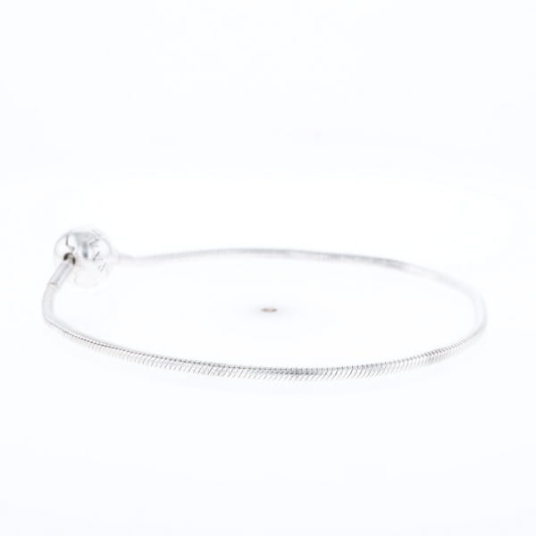 Pandora Moments Charm Bracelet