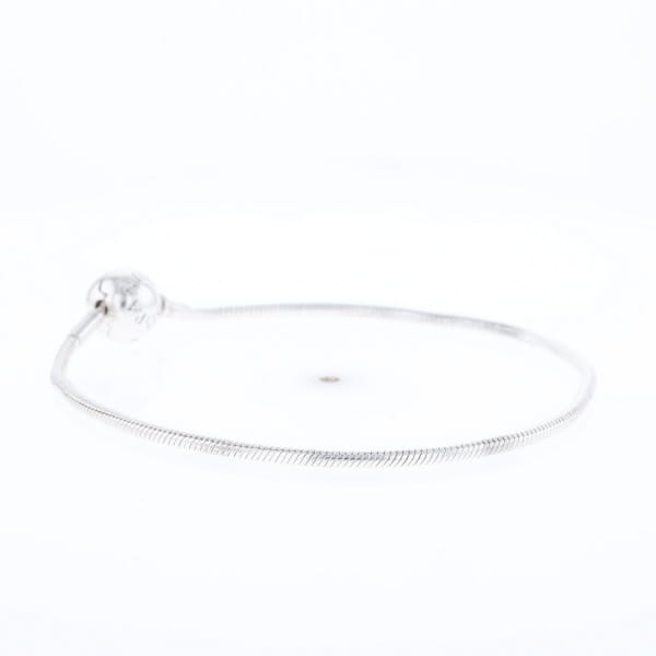 Pandora Moments Charm Bracelet