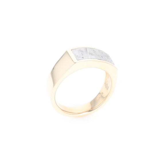 Rectangle Meteorite Inlaid Ring