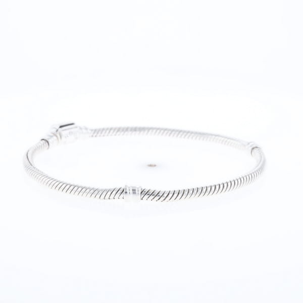 Pandora Moments Charm Bracelet