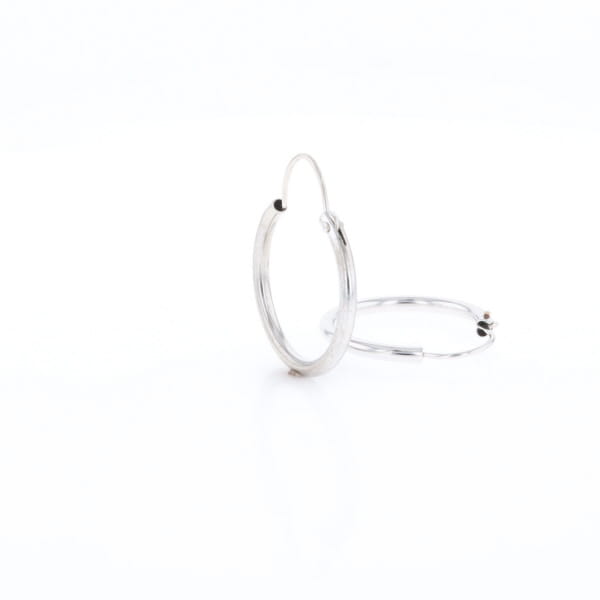 Hinged Wire Hoops