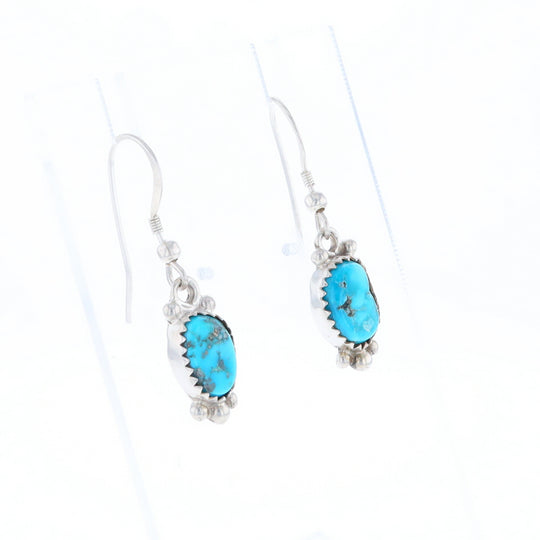 Native Dangle Turquoise Bead Earrings