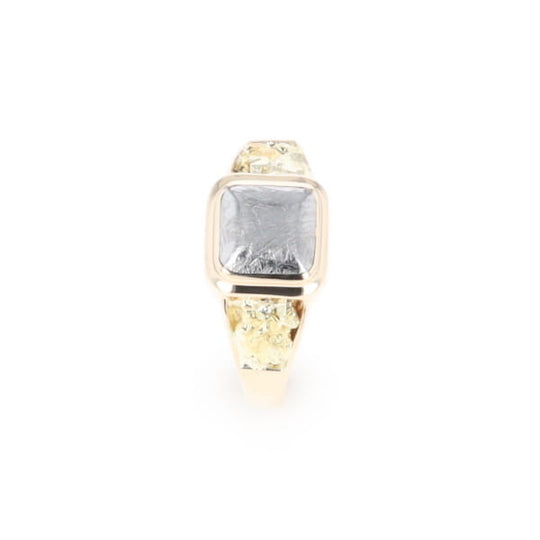 Meteorite & Gold Nugget Ring