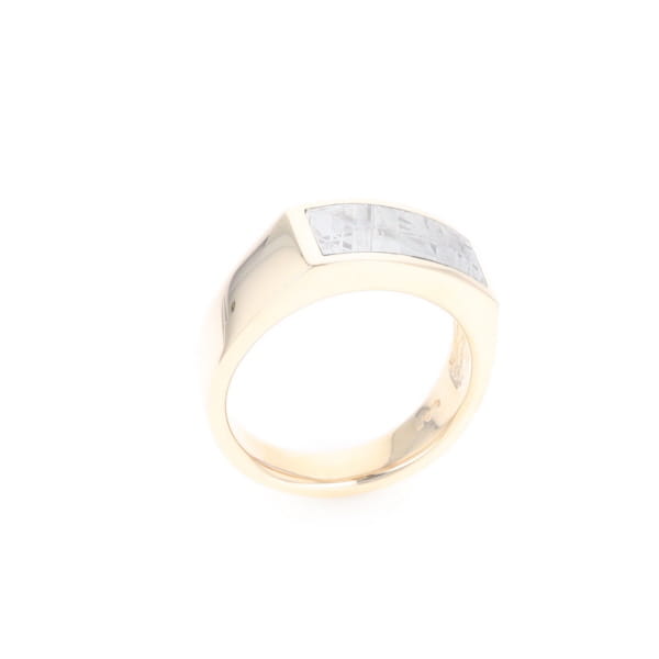 Rectangle Meteorite Inlaid Ring