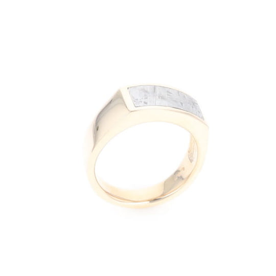 Rectangle Meteorite Inlaid Ring