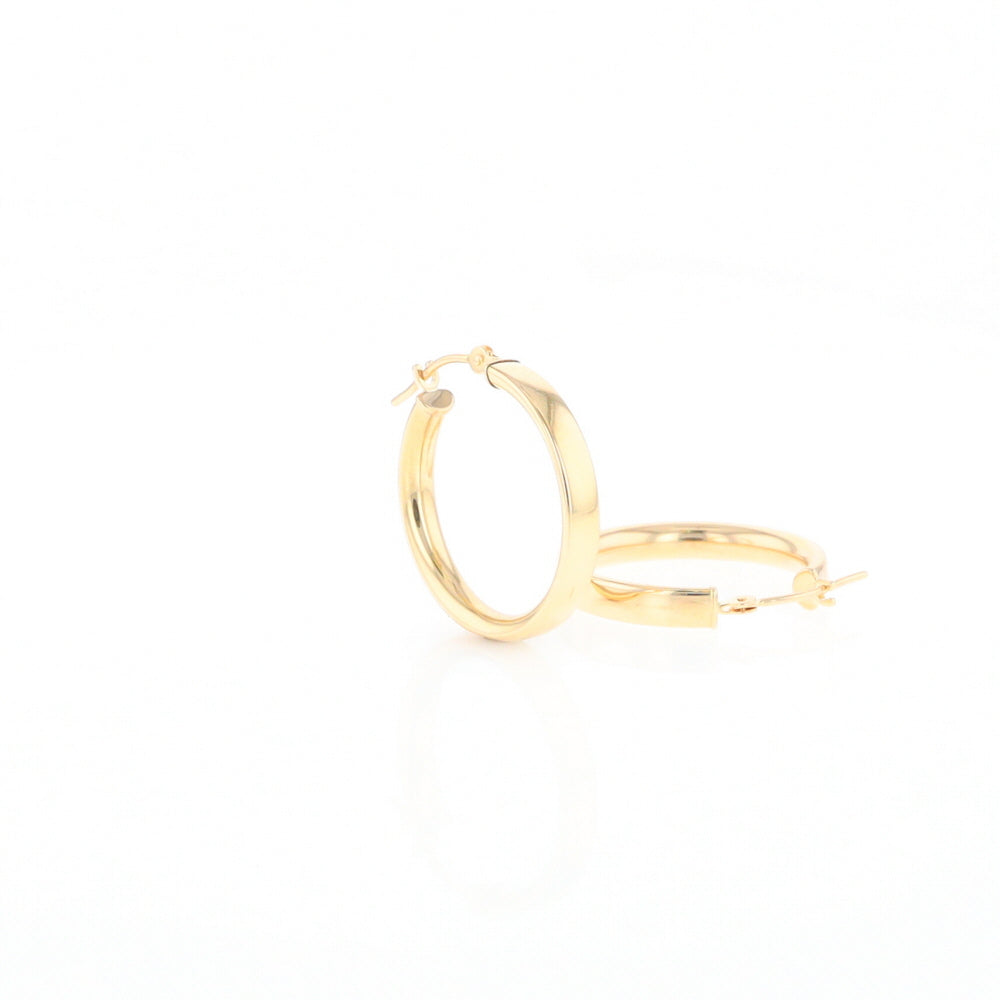 Gold Hoop Earrings