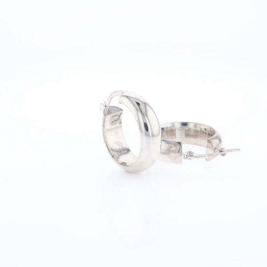 Hollow Round Tube Hoop Earrings
