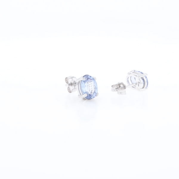 Ceylon Sapphire Stud Earrings