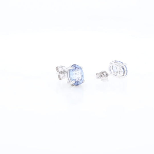 Ceylon Sapphire Stud Earrings