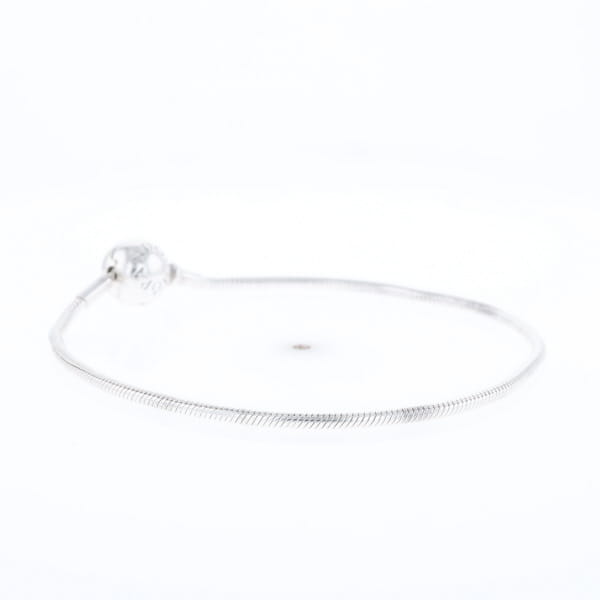 Pandora Moments Charm Bracelet