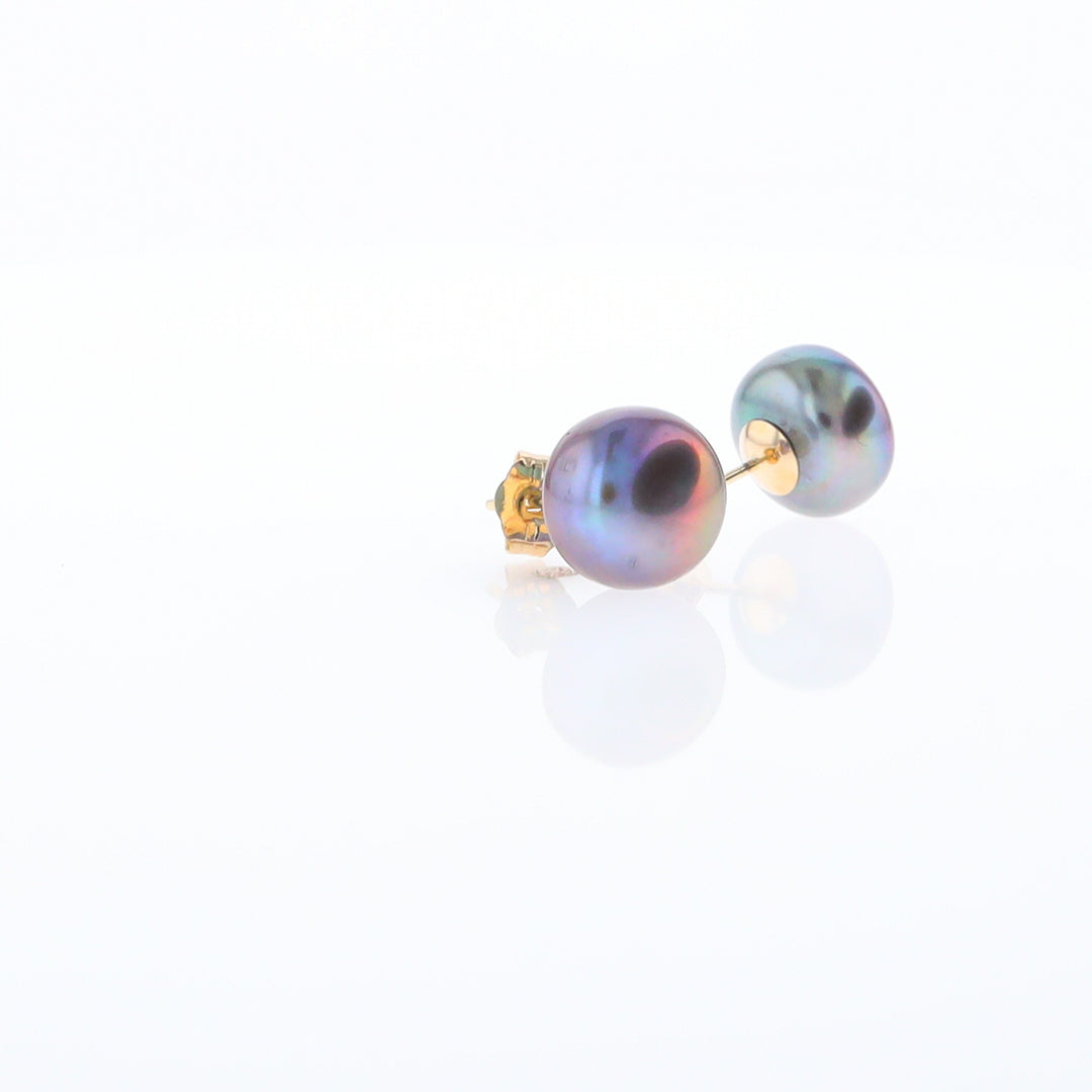 Tahitian Grey Pearl Studs