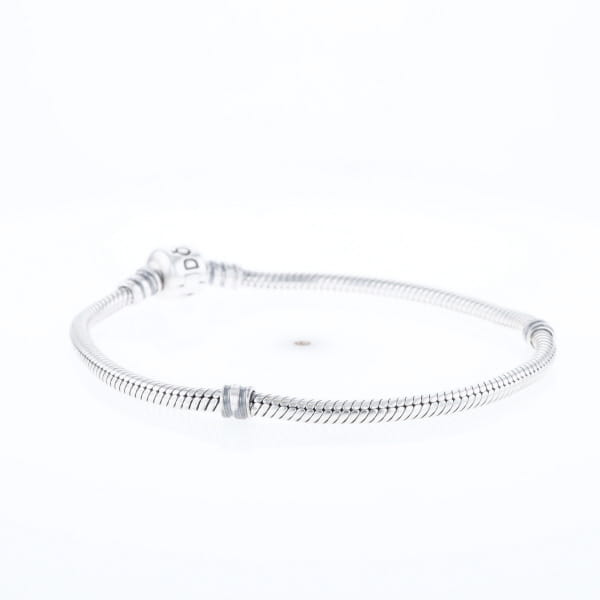 Pandora Moments Charm Bracelet