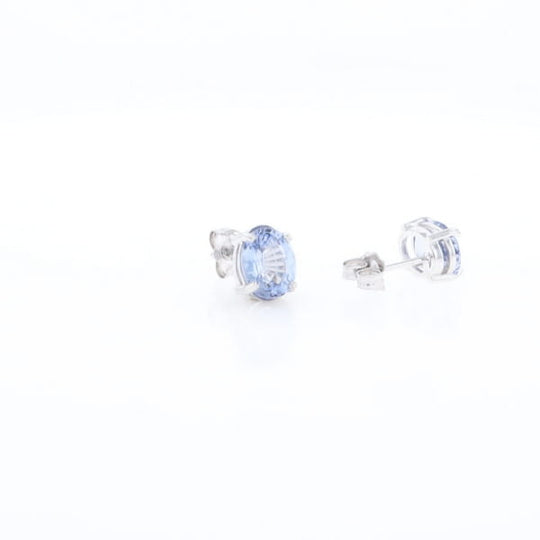 Ceylon Sapphire Stud Earrings