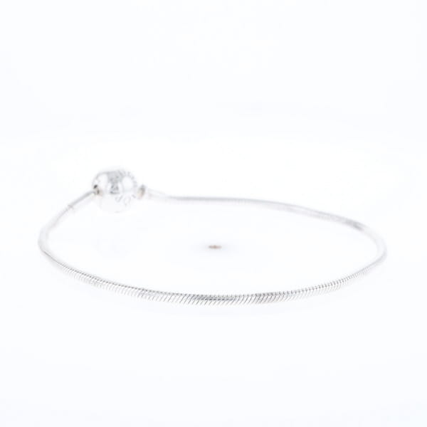 Pandora Moments Charm Bracelet