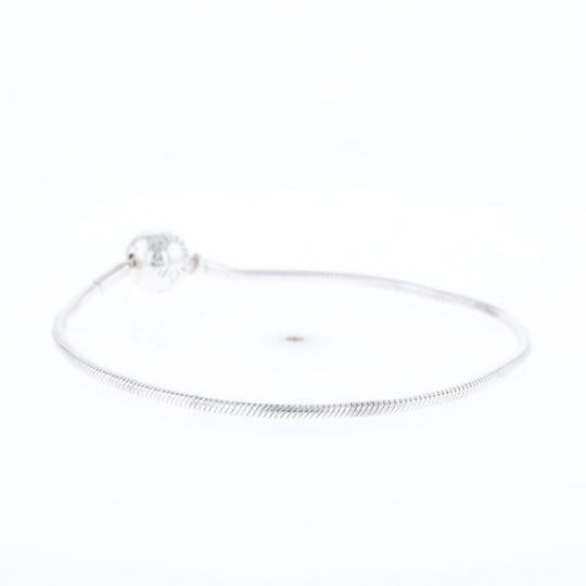 Pandora Moments Charm Bracelet