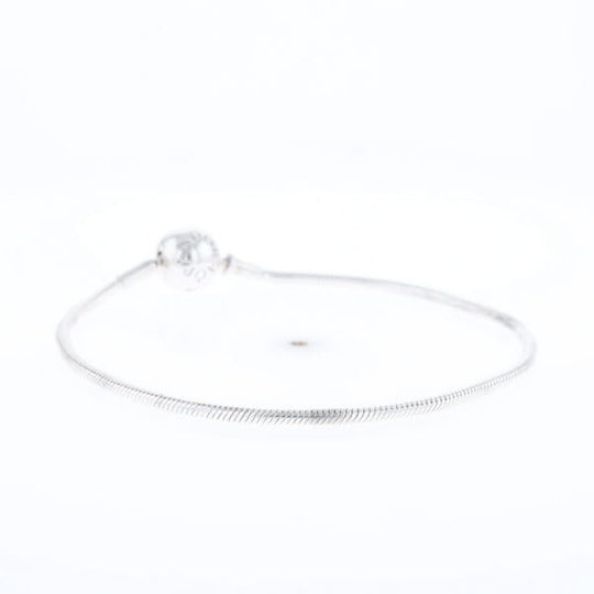 Pandora Moments Charm Bracelet