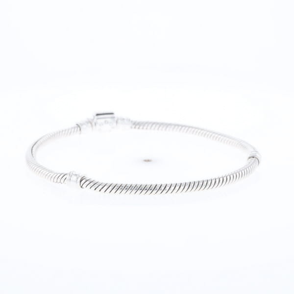 Pandora Moments Charm Bracelet