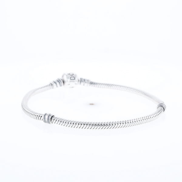 Pandora Moments Charm Bracelet