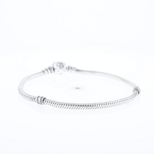 Pandora Moments Charm Bracelet