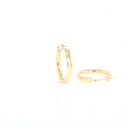 Gold Hoop Earrings