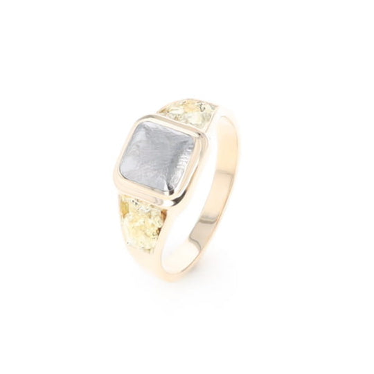 Meteorite & Gold Nugget Ring
