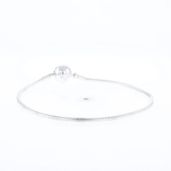 Pandora Moments Charm Bracelet