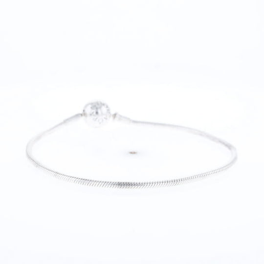 Pandora Moments Charm Bracelet