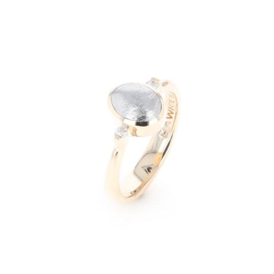 Meteorite Oval Inlay Ring