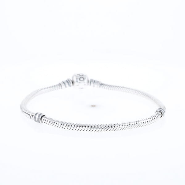 Pandora Moments Charm Bracelet