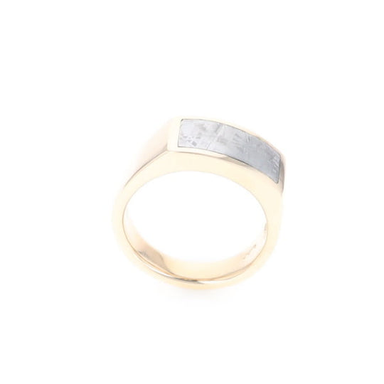 Rectangle Meteorite Inlaid Ring