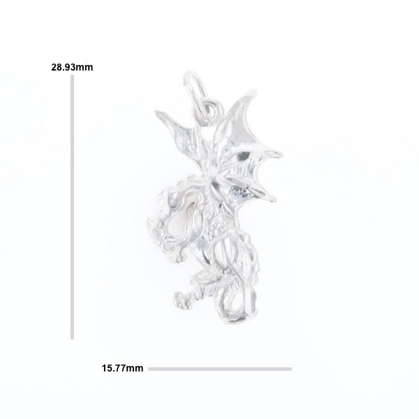 Silver Dragon Pendant